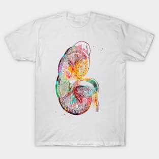 Kidney t cheap shirt